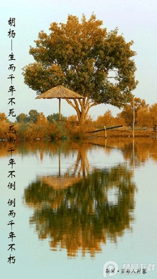 �½�ξ��õط��ͻ��˽�ͼ4