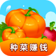 �ҵĲ�԰�ֲ�׬Ǯ��Ϸ1.0.2���ְ�
