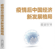 疫情后中国经济新发展格局电子免费版完整版