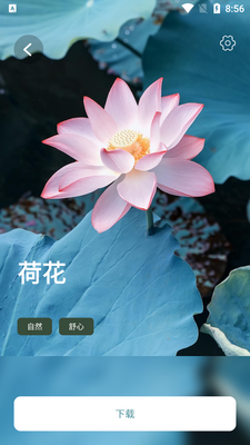 睡眠音乐app软件截图2