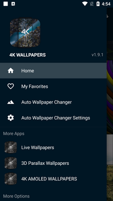 4k��ֽ�߼���(4K Wallpapers)��ͼ4