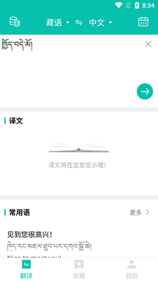 藏英翻译app最新版截图3