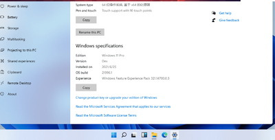 Windows11��װ��TPM2.0������ͼ2