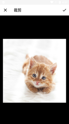 �ڴ�����PͼAPP��ͼ3
