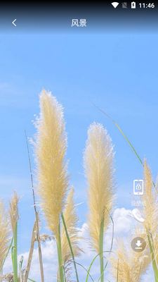 ��춯̬��ֽAPP��ͼ3