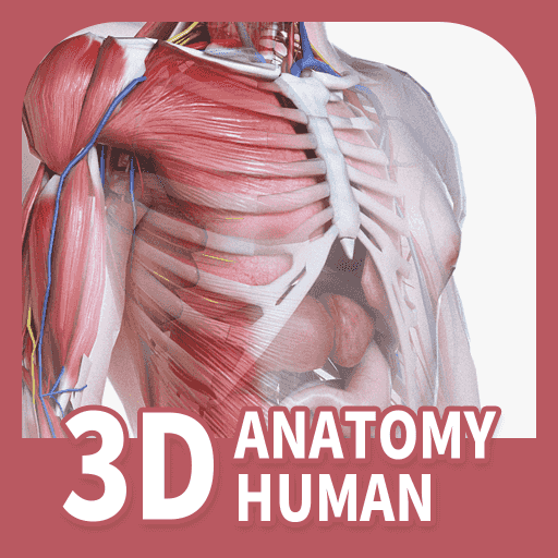 人体解剖3D APP安卓最新V2.1.7版