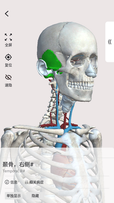 口袋人体解剖 APP截图0
