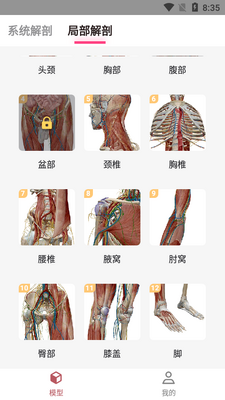 口袋人体解剖 APP截图2