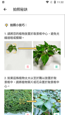 ����ʶ��ʶ��ֲ��picturethis��Ѱ��ͼ0