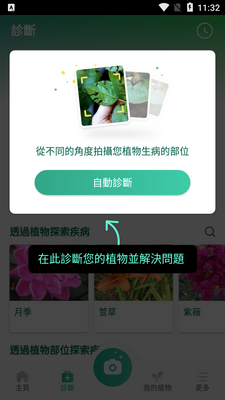 ����ʶ��ʶ��ֲ��picturethis��Ѱ��ͼ2