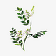 ��ҩֲ��ٿ�app2.0.1 ��׿���°�