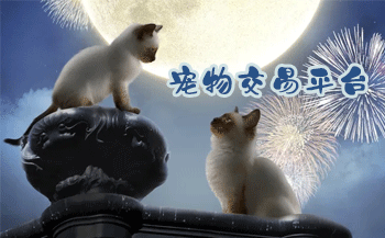 ���ｻ��ƽ̨����Щ_������ｻ��ƽ̨app_���ｻ��ƽ̨app�ĸ���