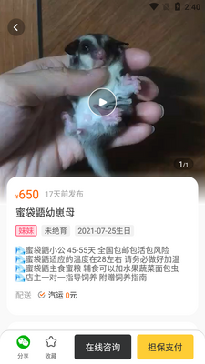 买只宠物APP截图0