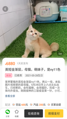 买只宠物APP截图2