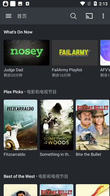 Plex��Ƶ��������ͼ0