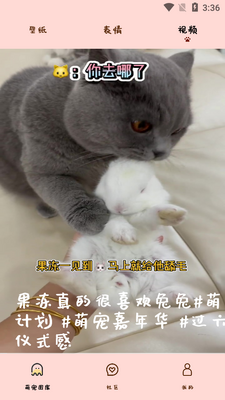 ����ߣèAPP��ͼ3