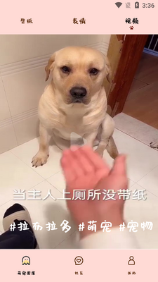 ����ߣèAPP��ͼ2