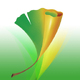 �й�����appv7.4.1.4375�ٷ���