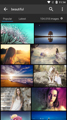pixabay�ز�����ͼ2