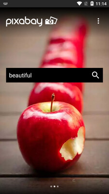 pixabay�ز�����ͼ3