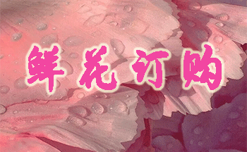 �ʻ�����