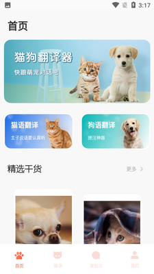 peppy catè�ﹷ���ͼ4