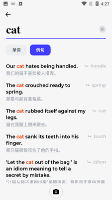�ʰԸ��дʵ�APP��ͼ3