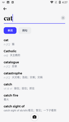 �ʰԸ��дʵ�APP��ͼ4