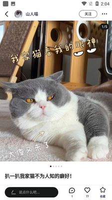 ������app��ͼ2