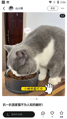 ������app��ͼ3