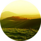 ԭҰ����app1.0���°�