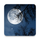 Relax Night����֮ҹ�ֻ�v5.8.3��׿���°�