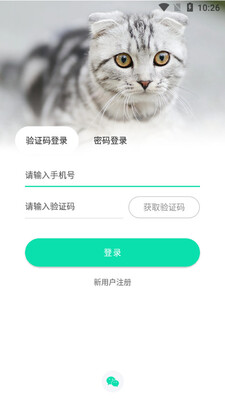 桔柒宠物app截图3