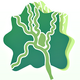 �ɶ��½�app1.0.0���°�