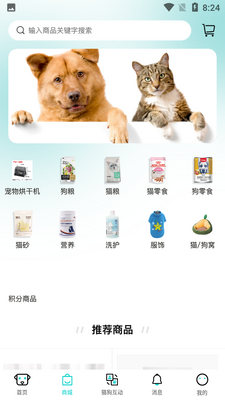 宠友道截图2