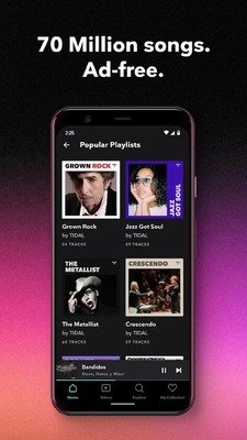 TIDAL����app(��ϫ����)��ͼ2