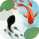 īϺ̽���ƽ��1.1 ���޽��