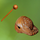 ��ľ��app������׿��1.1.5 �޹���