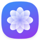 ī�������̵�ٷ���2.1.74���°�