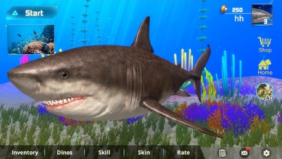 ����ģ����Megalodon Simulator��ͼ3
