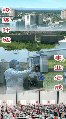 叶城好地方app截图0