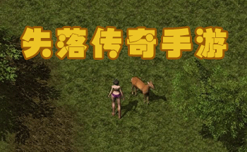 ʧ�䴫������