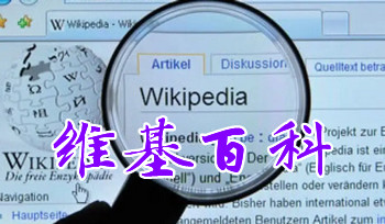 维基百科合集