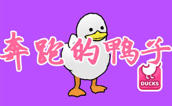 Duck on the run����-Ѽ�ӿ���DuckontheRun��׿������-Ѽ�ӿ���DuckontheRun���޽�Ұ�����