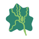 �½���ýapp�ٷ���1.0.0���°�
