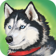 Zoom动物手机游戏(Dog Simulator -
