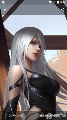 �����ֽHdqwalls app�ٷ��ͻ��˽�ͼ1