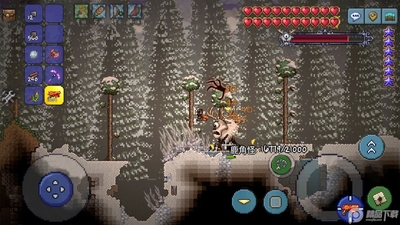 ̩����������Terraria��Ѱ����İ��ͼ0