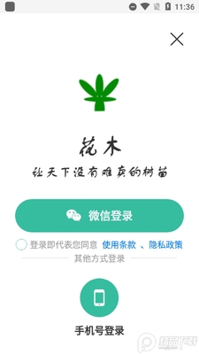 ���ϻ�ľ�ǰ�׿���ͼ2