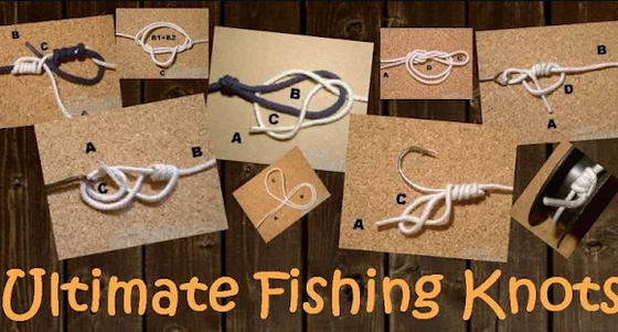 app(Ultimate Fishing Knots)Ѱ
